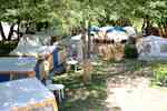 Thumbnail von camp-frankreich-ardèche-1-campingplatz.jpg